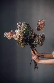 CONSEILS - Quand commencer la sophrologie pendant la grossesse ?